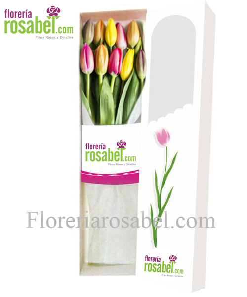Caja de 10 tulipanes de colores