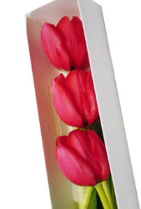 Caja de  3 tulipanes rojos delvery