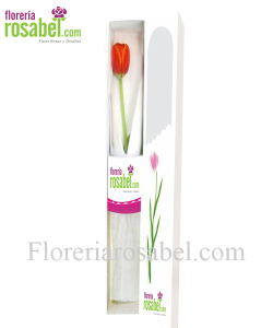 caja de 1 tulipan