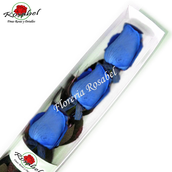 Caja de tres Rosas Azules, rosas azules rosabel, envío a domicilo