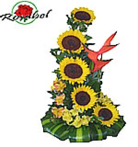 Arreglo de girasoles nedia luna