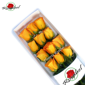 Caja con 12 Rosas Amarillas