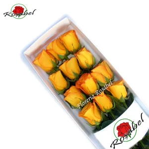 Caja de 12 Rosas Amarillas