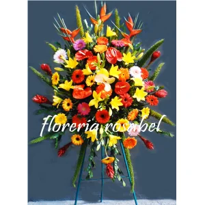 Flores de Inauguración IG 01
