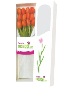 caja de 10 tulipanes naranjas