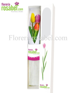 Caja de 3 tulipanes de colores, caja con tres tulipanes, caja  con 3 tulipanes, caja con 3 tulipanes rosabel