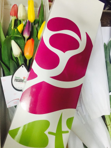 Exclusiva caja blanca con 12 tulipanes de colores