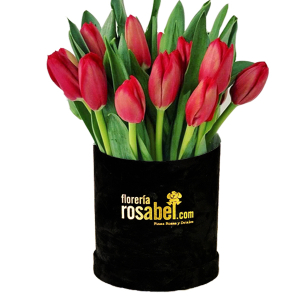 box de tulipanes rojos,  ROSABEL LIMA PERU