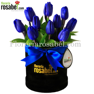 box de Tulipanes azules