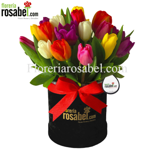 Caja, box, Negra con 20 Tulipanes de Colores