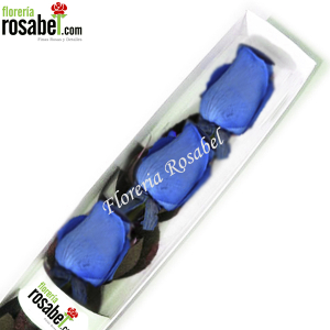 caja de tres rosas azules