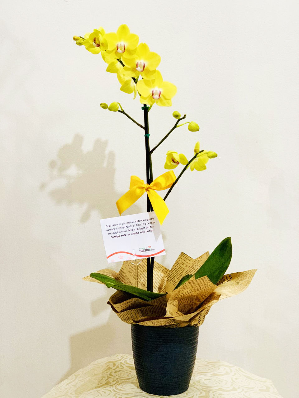Orquídea amarilla-GRN