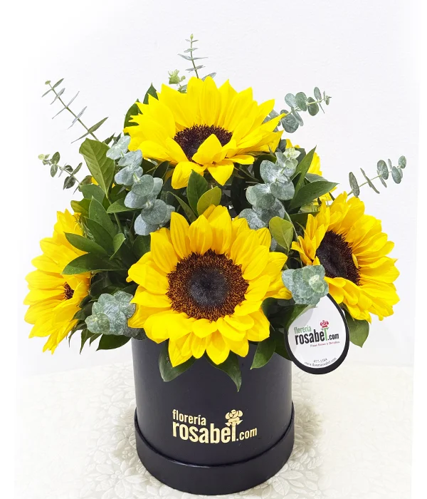 Box de 6 Girasoles lima 