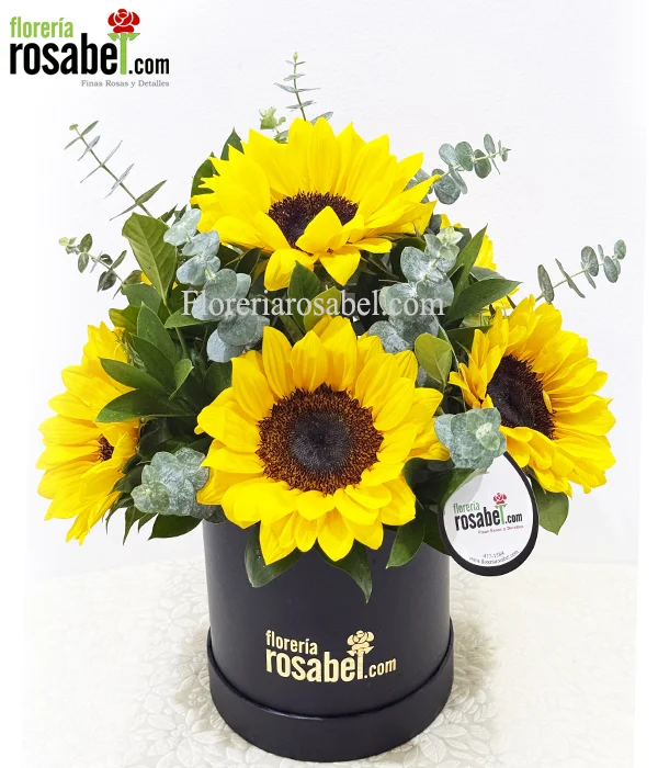Box de 6 Girasoles lima 